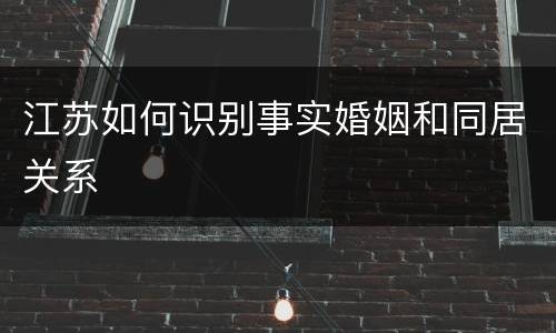 江苏如何识别事实婚姻和同居关系