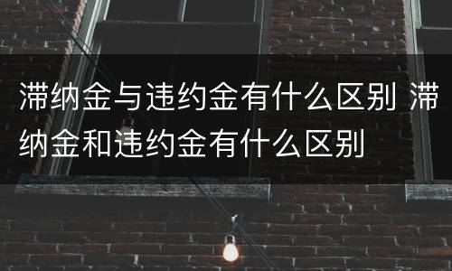 滞纳金与违约金有什么区别 滞纳金和违约金有什么区别