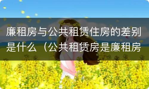 廉租房与公共租赁住房的差别是什么（公共租赁房是廉租房吗）
