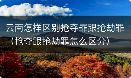 云南怎样区别抢夺罪跟抢劫罪（抢夺跟抢劫罪怎么区分）