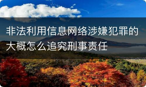 非法利用信息网络涉嫌犯罪的大概怎么追究刑事责任