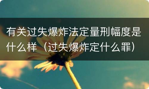 有关过失爆炸法定量刑幅度是什么样（过失爆炸定什么罪）
