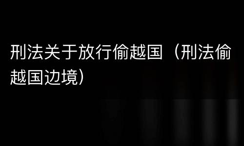 刑法关于放行偷越国（刑法偷越国边境）