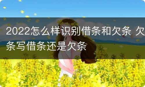 2022怎么样识别借条和欠条 欠条写借条还是欠条
