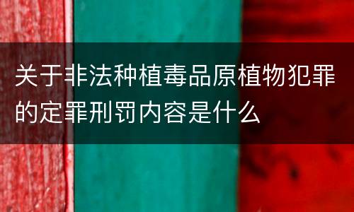 关于非法种植毒品原植物犯罪的定罪刑罚内容是什么
