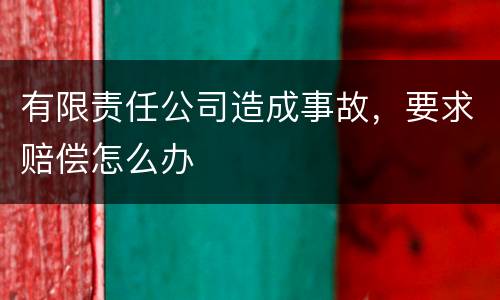 有限责任公司造成事故，要求赔偿怎么办