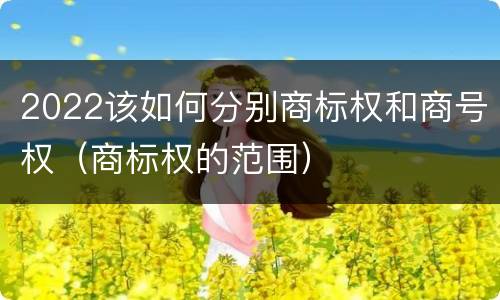 2022该如何分别商标权和商号权（商标权的范围）