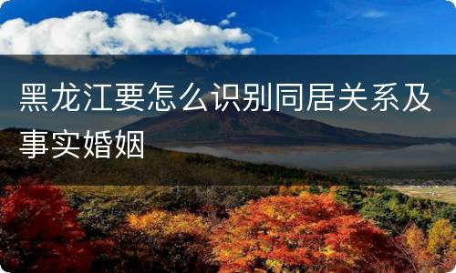 黑龙江要怎么识别同居关系及事实婚姻