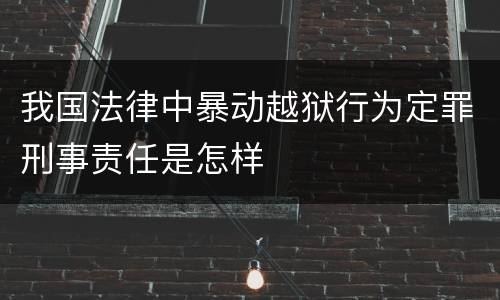 我国法律中暴动越狱行为定罪刑事责任是怎样