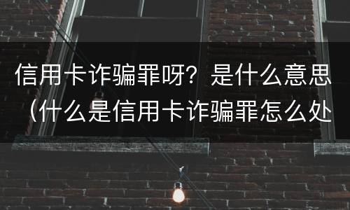信用卡诈骗罪呀？是什么意思（什么是信用卡诈骗罪怎么处罚）