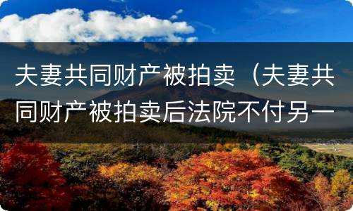 夫妻共同财产被拍卖（夫妻共同财产被拍卖后法院不付另一半的钱）