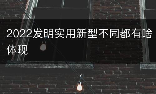 2022发明实用新型不同都有啥体现