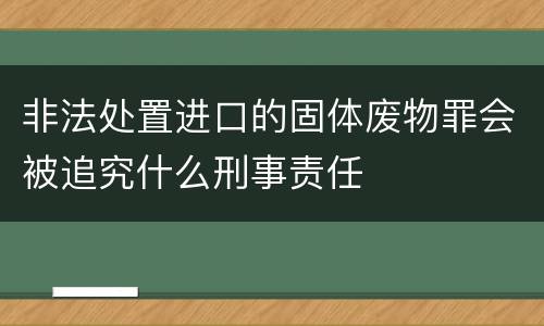 非法处置进口的固体废物罪会被追究什么刑事责任