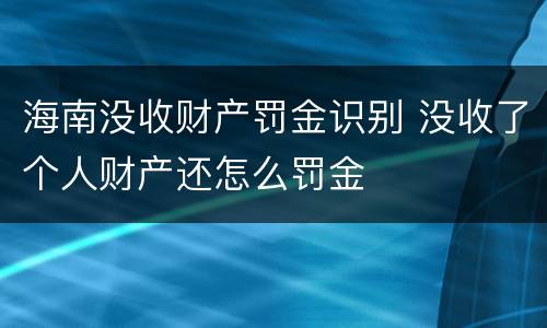 海南没收财产罚金识别 没收了个人财产还怎么罚金