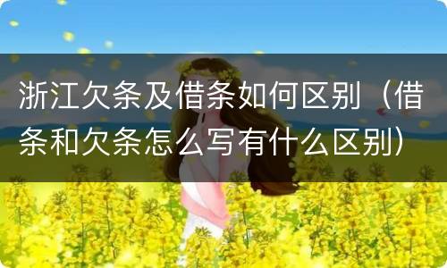 浙江欠条及借条如何区别（借条和欠条怎么写有什么区别）