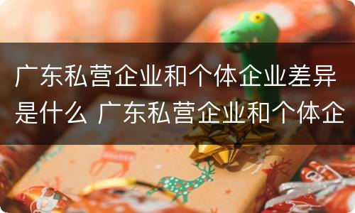 广东私营企业和个体企业差异是什么 广东私营企业和个体企业差异是什么样的