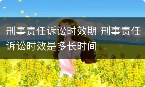 刑事责任诉讼时效期 刑事责任诉讼时效是多长时间