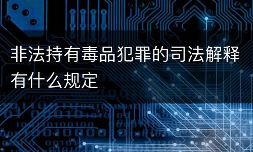 非法持有毒品犯罪的司法解释有什么规定