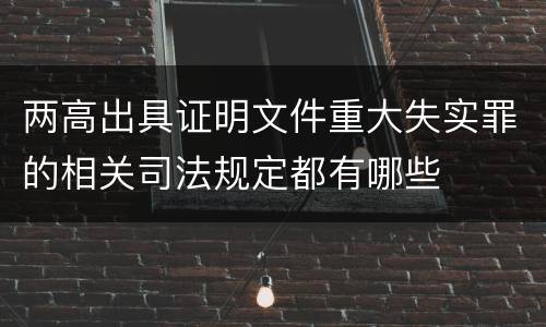 两高出具证明文件重大失实罪的相关司法规定都有哪些