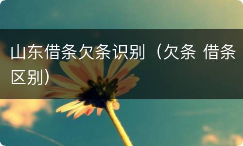 山东借条欠条识别（欠条 借条区别）