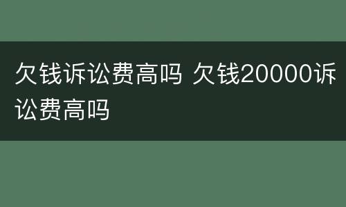欠钱诉讼费高吗 欠钱20000诉讼费高吗