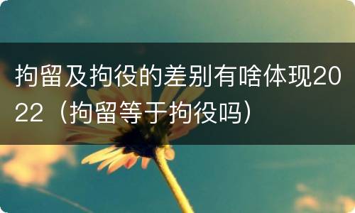 拘留及拘役的差别有啥体现2022（拘留等于拘役吗）