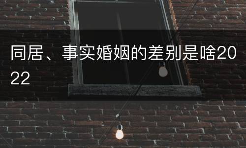 同居、事实婚姻的差别是啥2022