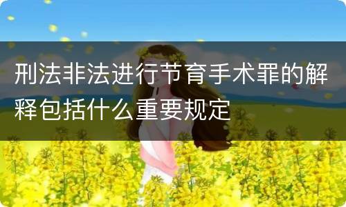 刑法非法进行节育手术罪的解释包括什么重要规定