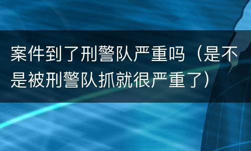 案件到了刑警队严重吗（是不是被刑警队抓就很严重了）