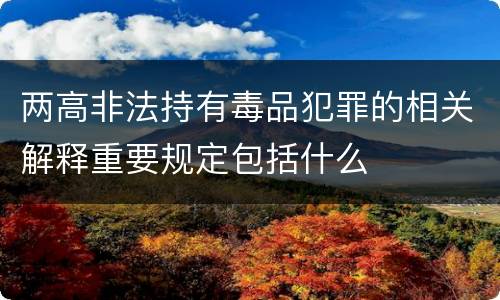 两高非法持有毒品犯罪的相关解释重要规定包括什么