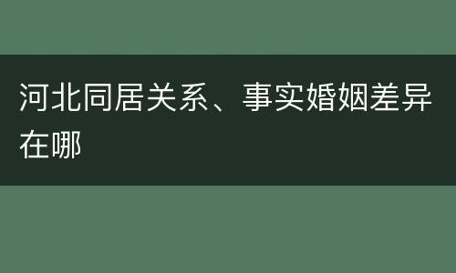 河北同居关系、事实婚姻差异在哪