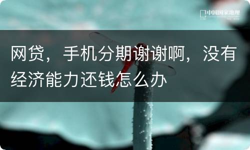 网贷，手机分期谢谢啊，没有经济能力还钱怎么办