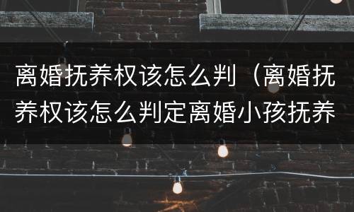 离婚抚养权该怎么判（离婚抚养权该怎么判定离婚小孩抚养权怎么判定）