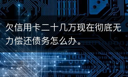 欠信用卡二十几万现在彻底无力偿还债务怎么办。