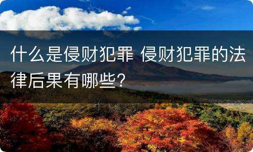什么是侵财犯罪 侵财犯罪的法律后果有哪些?