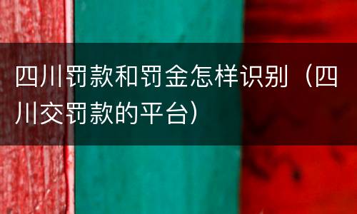 四川罚款和罚金怎样识别（四川交罚款的平台）