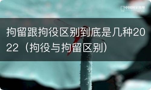 拘留跟拘役区别到底是几种2022（拘役与拘留区别）