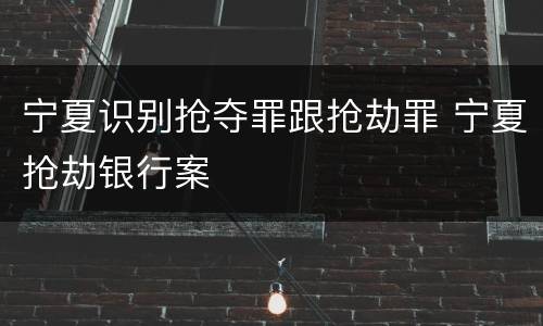 宁夏识别抢夺罪跟抢劫罪 宁夏抢劫银行案