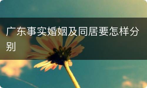 广东事实婚姻及同居要怎样分别