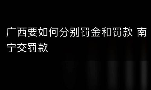 广西要如何分别罚金和罚款 南宁交罚款