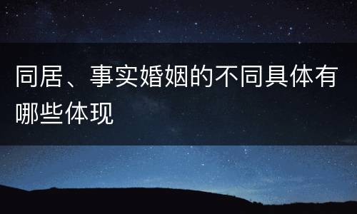 同居、事实婚姻的不同具体有哪些体现