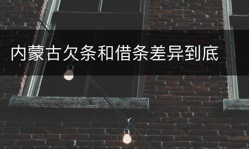 内蒙古欠条和借条差异到底