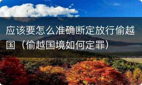 应该要怎么准确断定放行偷越国（偷越国境如何定罪）