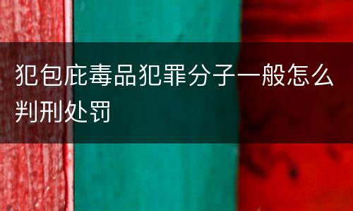 犯包庇毒品犯罪分子一般怎么判刑处罚