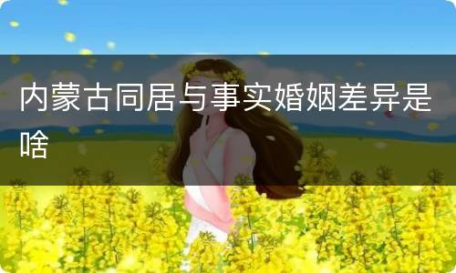内蒙古同居与事实婚姻差异是啥