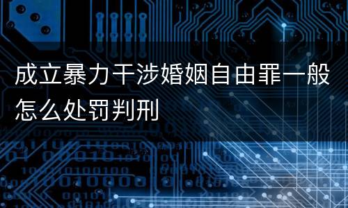 成立暴力干涉婚姻自由罪一般怎么处罚判刑