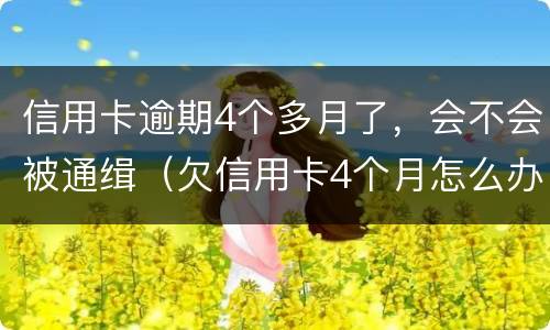 信用卡逾期4个多月了，会不会被通缉（欠信用卡4个月怎么办,会抓人吗?）