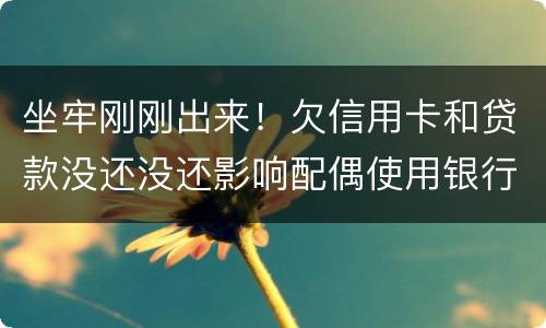 坐牢刚刚出来！欠信用卡和贷款没还没还影响配偶使用银行卡吗？会冻结她的吗