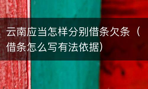 云南应当怎样分别借条欠条（借条怎么写有法依据）