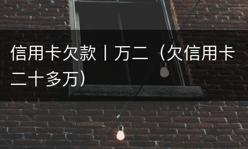 信用卡欠款丨万二（欠信用卡二十多万）